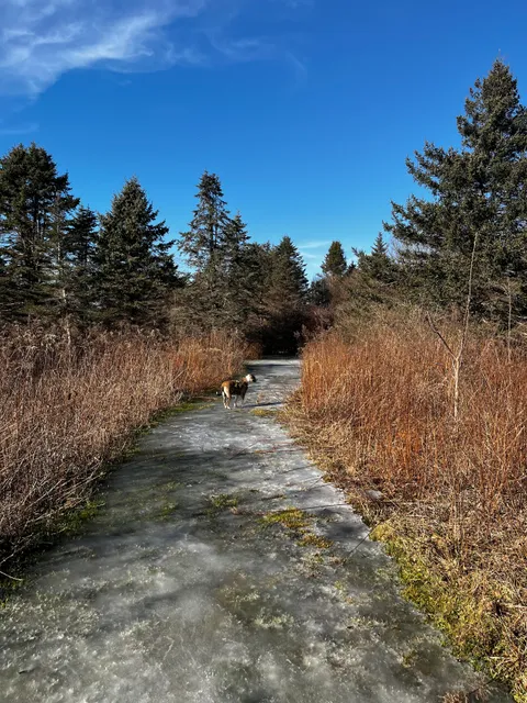 Aquidneck Land Trust's Spruce Acres Farm