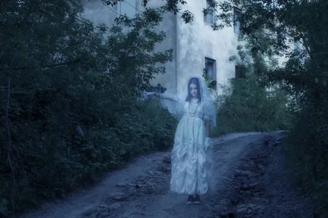 Friends of Bolton Mansion