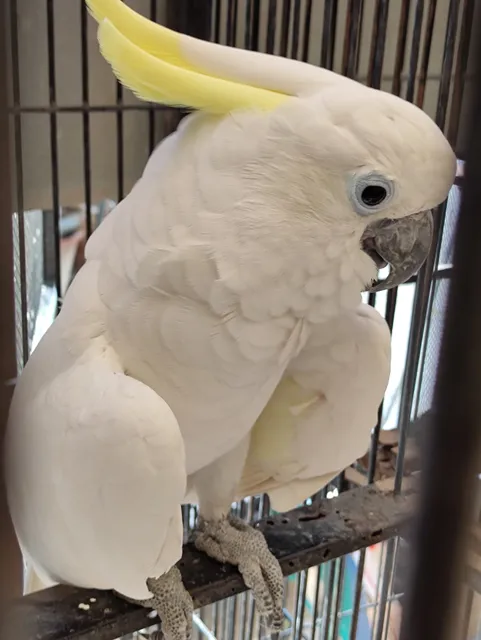 TWEC - The Wildlife Experience Center