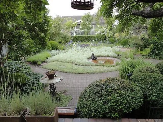 Ulla Molins trädgård