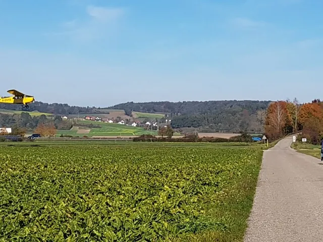 photo-1