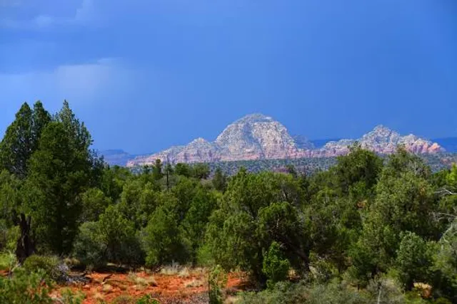 Parque de los Dinosaurios