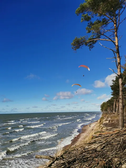Seaside Regional Park Visitor Center