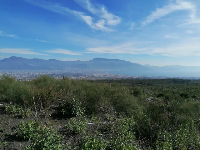 Sentiero n°6 del Parco Nazionale del Vesuvio - La Strada Matrone (inizio)