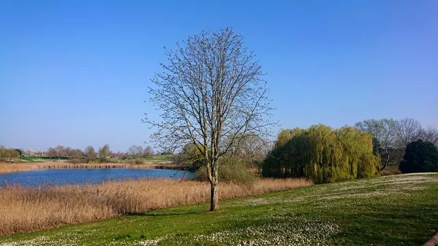 Parc Léonard de Vinci