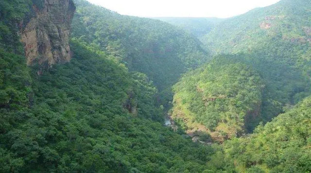 Seshachalam Hills