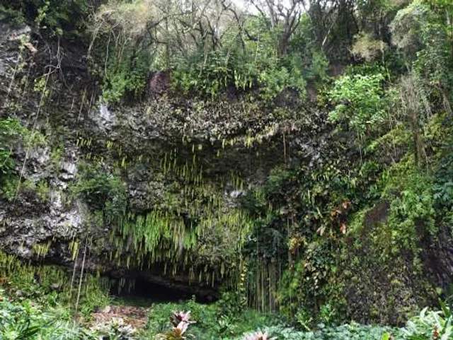 Fern Grotto