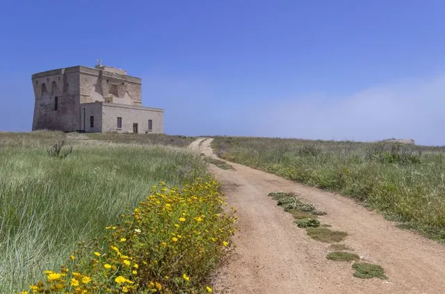 Torre Guaceto Marine Protected Area