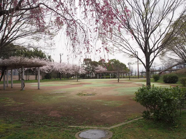 Saigawa Park