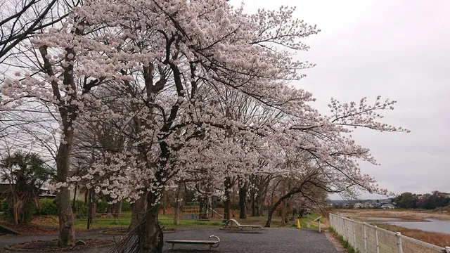 Tamagawa Ryokuchi Fussa Yanagiyama Park