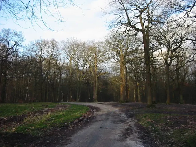Forêt Domaniale de Fausses Reposes