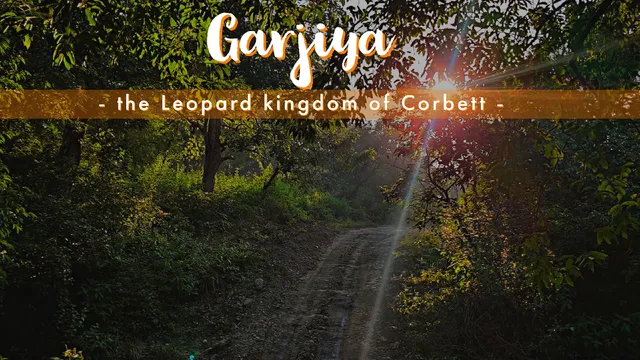 Corbett Safari Booking