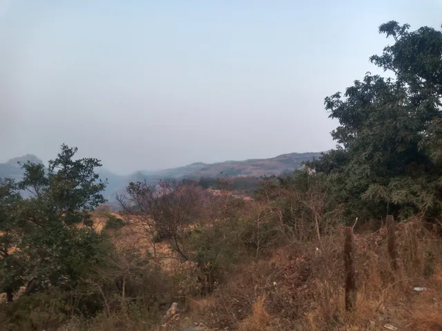 Jambhulpada River Bridge