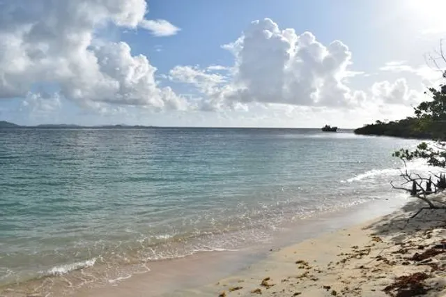 Petit Carenage Beach