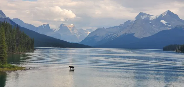 Opal Hills Loop Trailhead