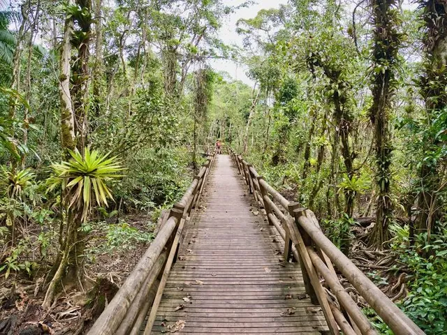 Parque Nacional Natural Utría