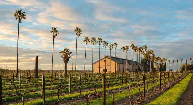 Chateau Dorrien Winery