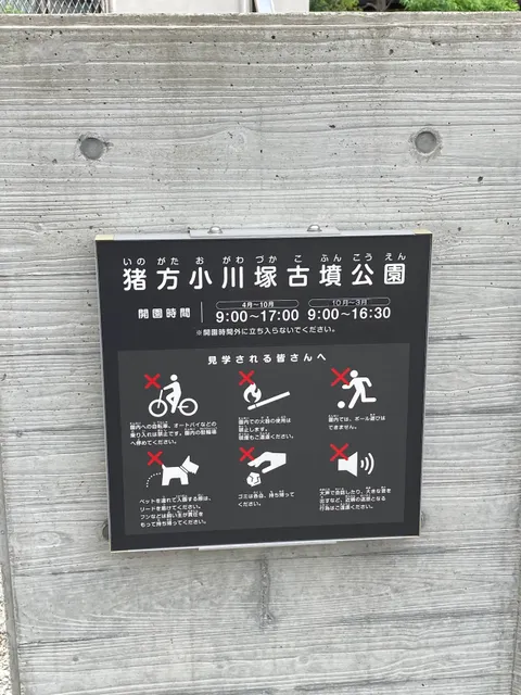 photo-1