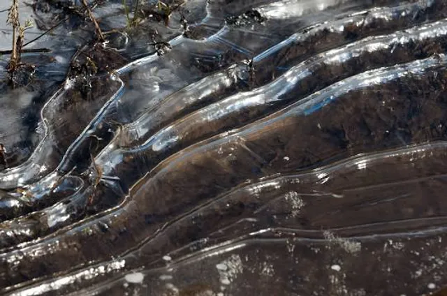 The Gambian Reptiles Farm