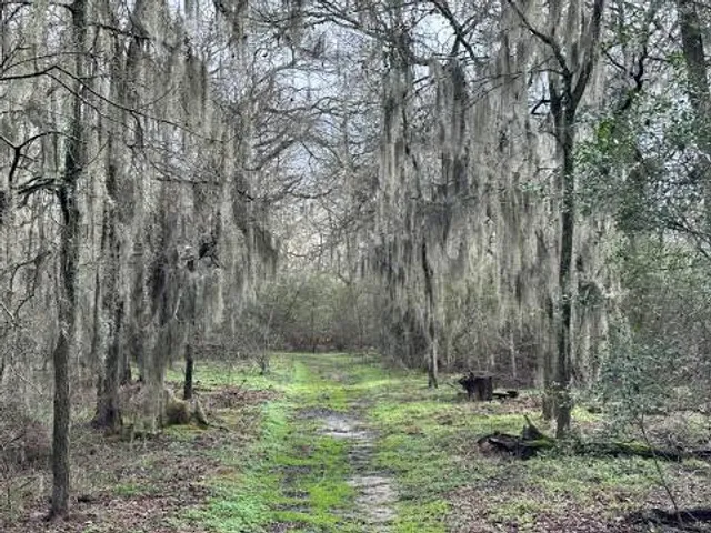 Lake Somerville State Park & Trailway