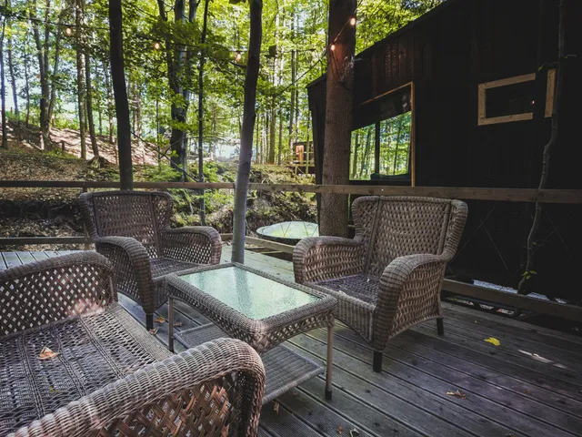 Świergot - domek na drzewie