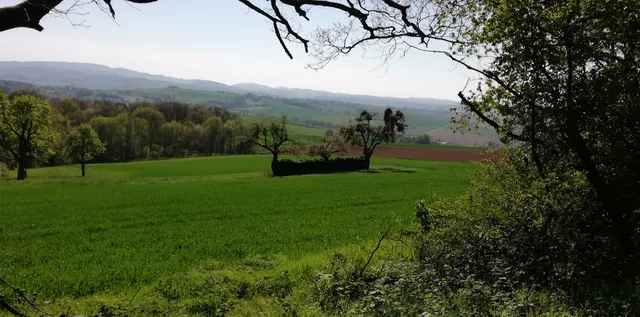 photo-1