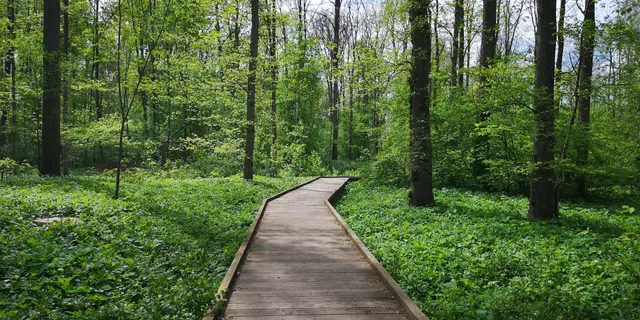 Herzogin Anna Rundweg