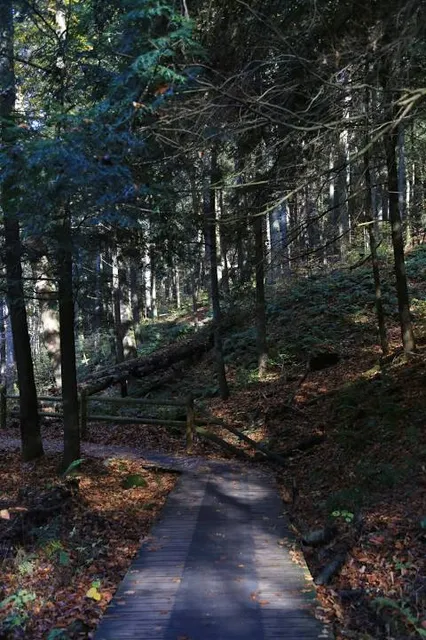 Slide Mountain Wilderness