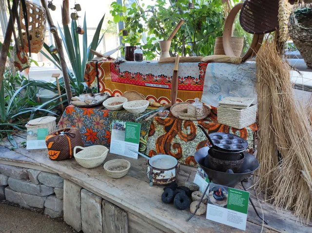 Serra tropicale MUSE