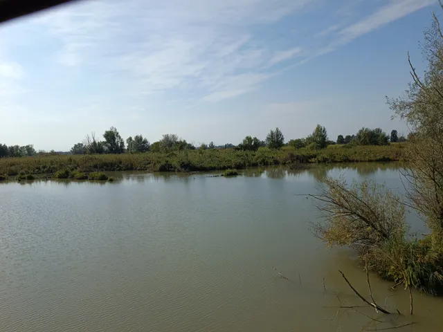 Riserva Naturale Paludi di Ostiglia