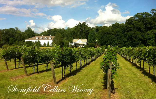 Stonefield Cellars Winery