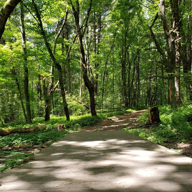 Mt. Pisgah Trail Parking