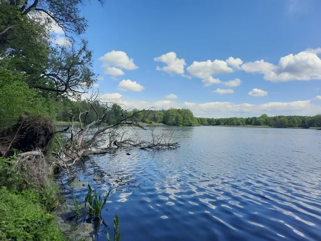 Park Krajobrazowy Dolina Jezierzycy