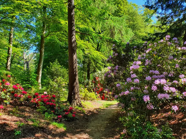 Natuurmonumenten Gooilust