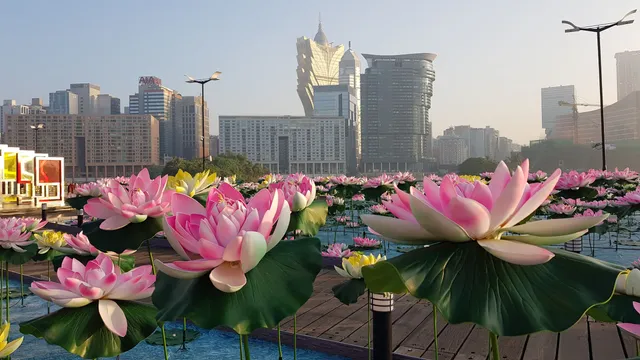 Nam Van Lake Nautical Centre