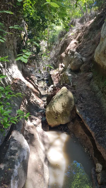 JUNGLE of RHODES - MEETINGPOINT Nikos Papas