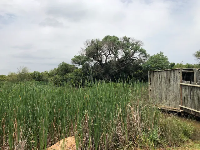 Luton Valley Bird Sanctuary