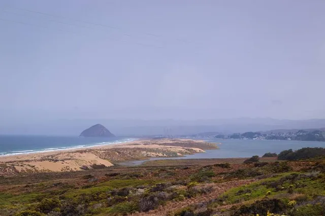 Morro Bay National Estuary Program