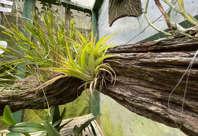 Urimbirra Wildlife Park