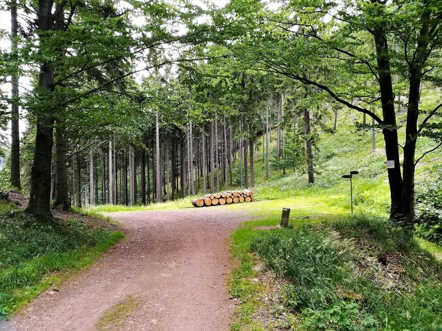 Przełęcz pod Borową