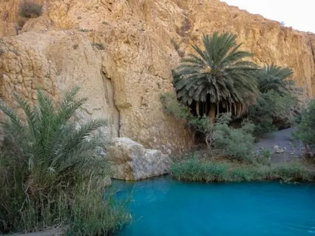 Chebika Oasis
