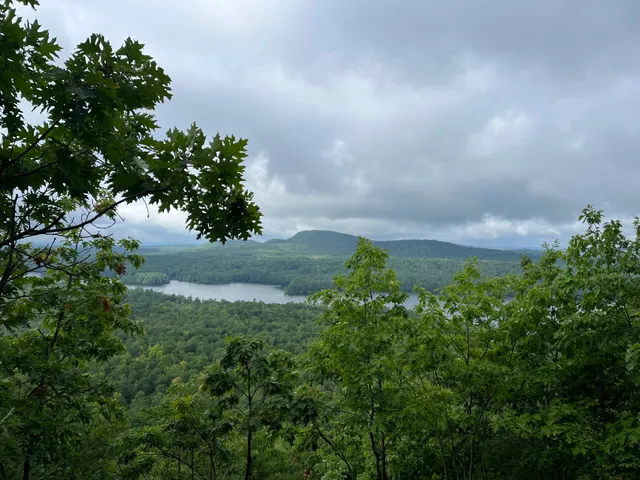 Raymond Community Forest