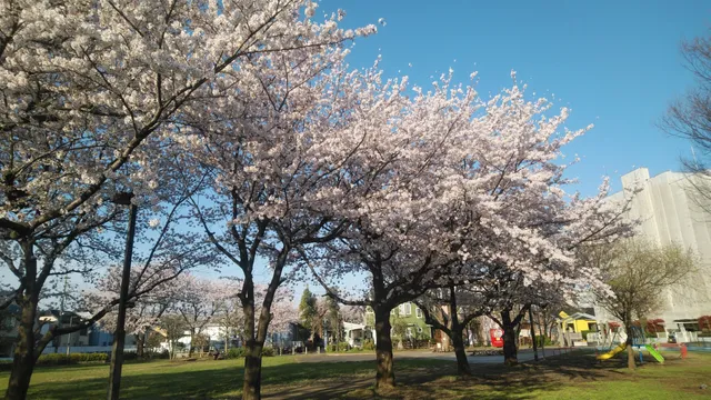 Kamekubo Central Park