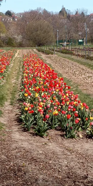 Naturschaugarten Lindenmühle