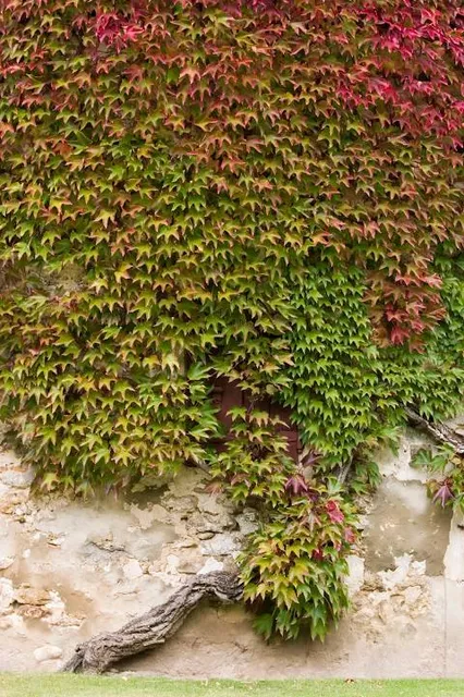 Jim and JoAnn Fonteno Family Park