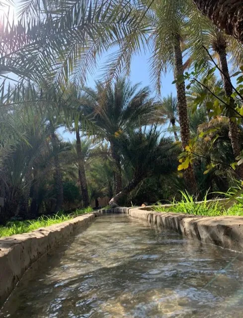 Al Ain Oasis