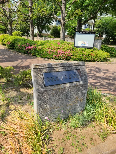 Yanagisawaseseragi Park