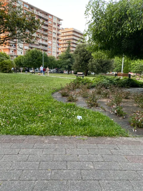 photo-1