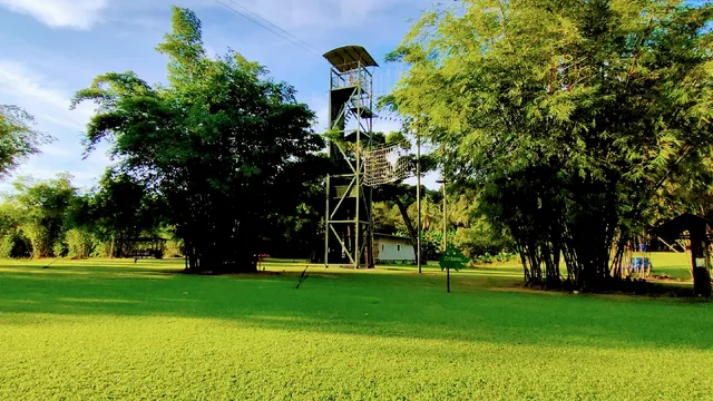 Zip Borneo (The Adventure Centre)