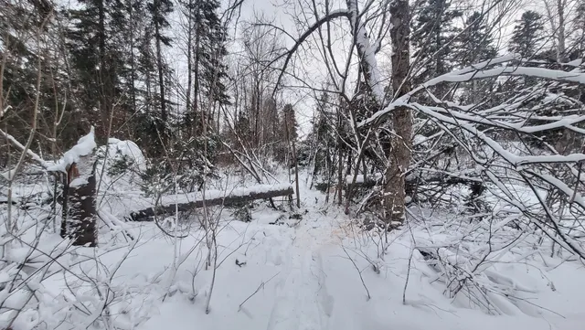 Parc d'une rive à l'autre - centre Dorval